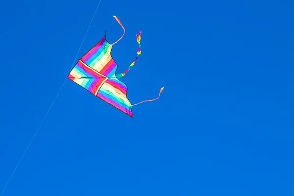 Kite in the blue sky — Stock Photo, Image