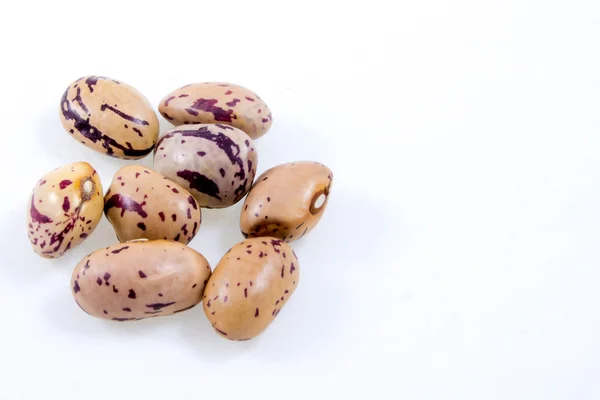 Close up of some borlotti beans — Stock Photo, Image