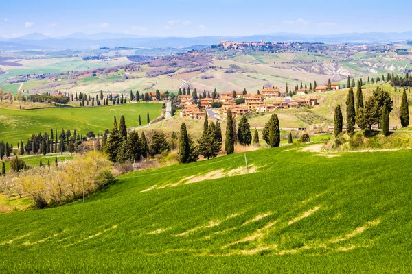 Toskański krajobraz, widok na zieloną dolinę Val D'Orcia Monticchiello — Zdjęcie stockowe