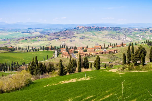 Paisaje toscano, vista del verde Val D 'Orcia —  Fotos de Stock