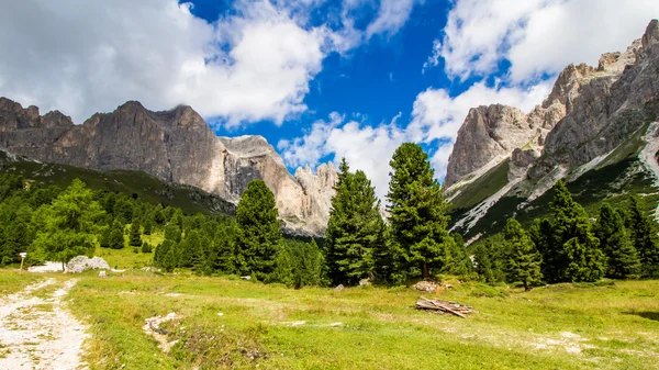 View of the Rosengarten group in the Dolomites, Italy — Stock Photo, Image