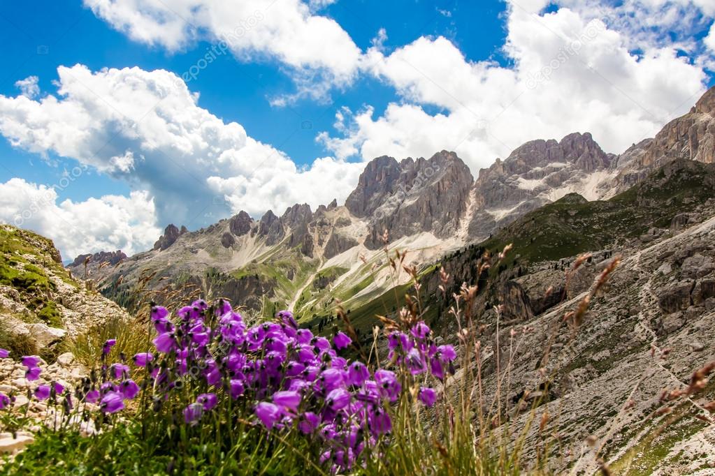 View of the Rosengarten group in the Dolomites, Italy