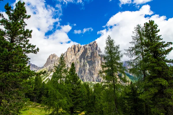 Vista do grupo Rosengarten nas Dolomitas, Itália — Fotografia de Stock