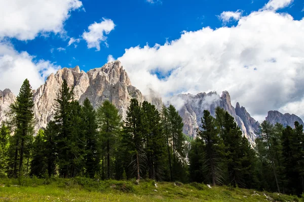 Vista del grupo de Rosengarten en los Dolomitas, Italia —  Fotos de Stock