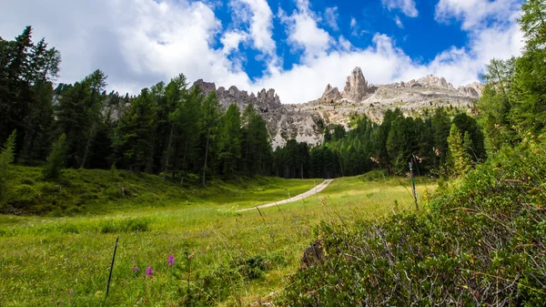 View of the Rosengarten group in the Dolomites, Italy — Stock Photo, Image