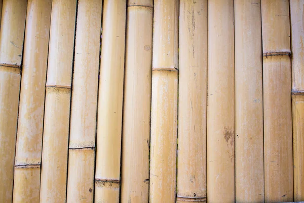 Achtergrond van een hek van bamboe — Stockfoto