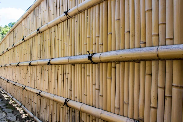 Žlutá bambus plot — Stock fotografie
