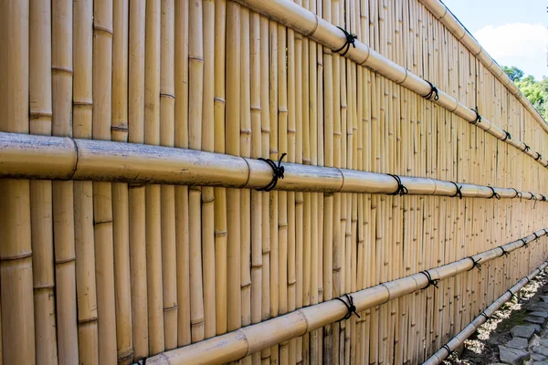 竹栅栏 — 图库照片