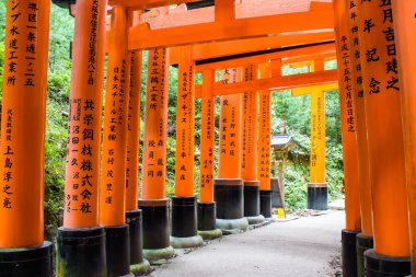 Kyoto'daki 