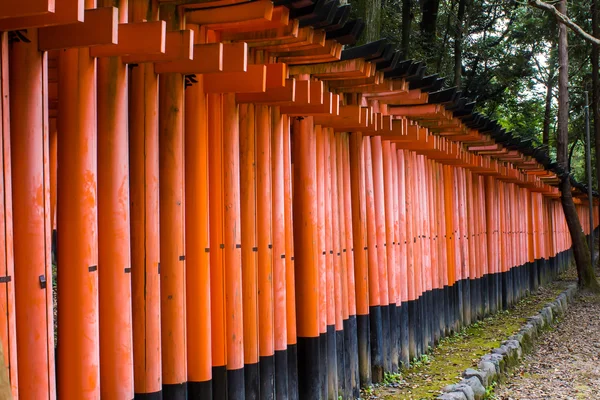 Path of torii in the "Fushimi Inari-taisha" shrine in Kyoto, Jap — Stock Photo, Image