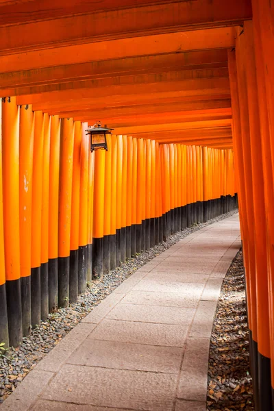 京都"福希米·伊那里-泰沙"神社的托里之路 — 图库照片