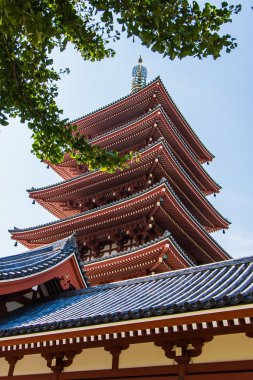 pagoda Senso-Ji Tapınağı: Tokyo, Japan
