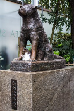 Hachiko Tokyo, sadakat sembolü heykeli