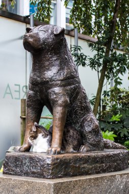 Hachiko Tokyo, sadakat sembolü heykeli