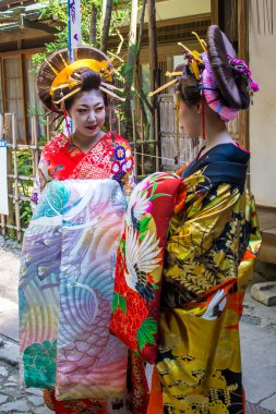 Kyoto, Japonya - 12 Ekim 2015: Maiko, geyşa, çırak 
