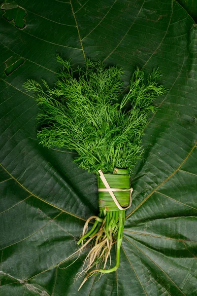 Čerstvé Svazek Organické Kopr Zeleném Listě Pozadí — Stock fotografie