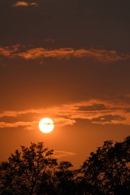 Ağacın üzerinde güneş batmadan önce bulutlar ve güneş ışığı ile dramatik gökyüzü, doğa arka plan
