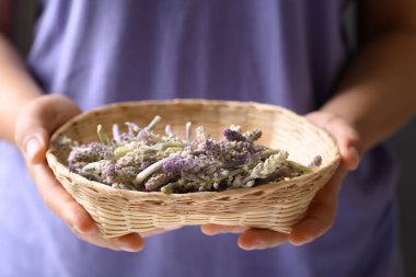 Elle tutulan bambu sepetinde Aspidistra sutepensis, Tayland 'ın kuzeyinde organik yerel çiftçi pazarından yenilebilir çiçekler.