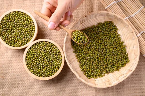 Mung bean seeds in wooden spoon holding by hand, Food ingredients in Asian cuisine and produce mung bean sprout