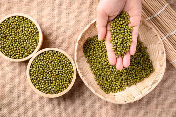 Mung bean seeds in hand and pouring into bamboo basket, Food ingredients in Asian cuisine and produce mung bean sprout