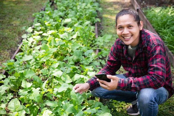 유기농 텃밭에서 스마트폰을 사용하고 아시아 — 스톡 사진