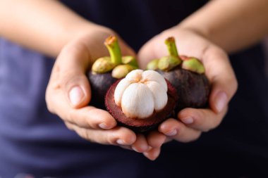 Elle tutulan soyulmuş mangosteen meyvesi, tropikal meyve.