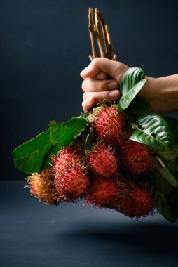 Elle tutulan olgun rambutan meyvesi, Rambutan tropikal meyve ve yerli Güneydoğu Asya, sulu ve tatlı bir tadı var.