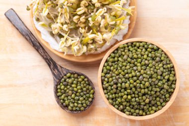 Ahşap arka planda Mung fasulyesi tohumu ve filizleri, Asya mutfağında gıda malzemeleri.