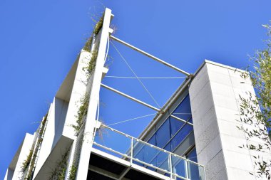 Sarmaşıklar ve mavi gökyüzü arkaplanlı modern yapı