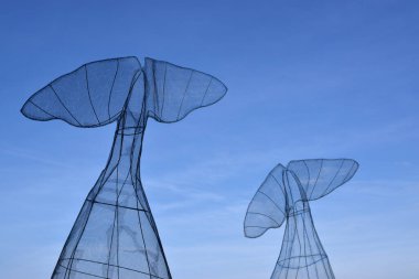 Balık kuyruğu şeklinde bir deniz yapısı