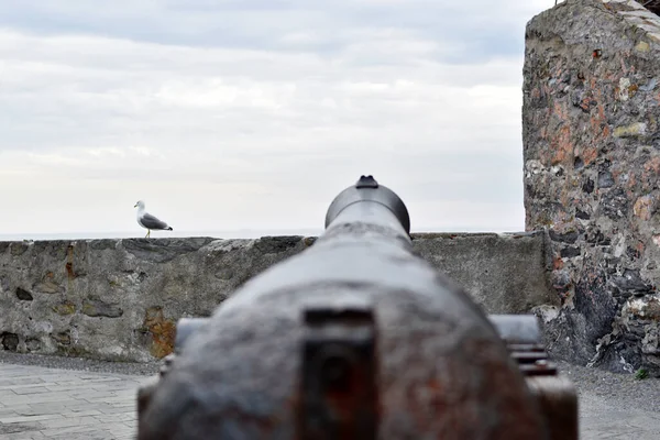 Παλιό Κανόνι Πολέμου Στον Πύργο Θέα Θάλασσα — Φωτογραφία Αρχείου