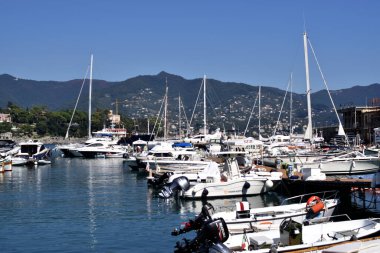 Limanda demirlemiş tekneler ve yatlar