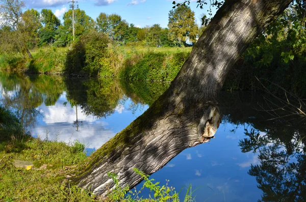 Vue Sur Paysage Champêtre Suggestif — Photo