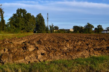 gösterişli bir kırsal manzara manzarası