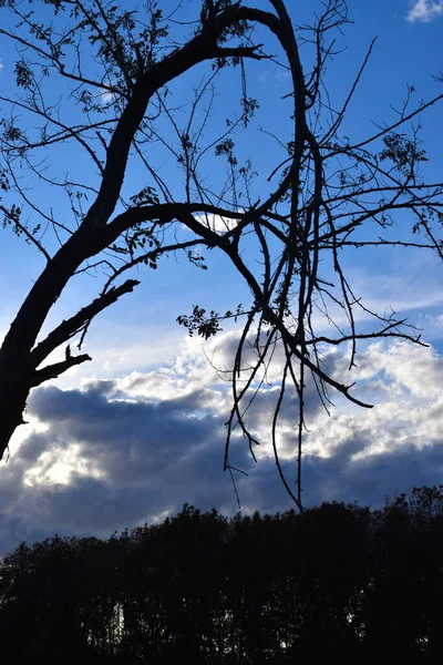 Weiche Wolken Blauen Himmel Ländlicher Landschaft — Stockfoto