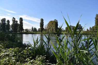 Kırsal alanda nehir manzarası