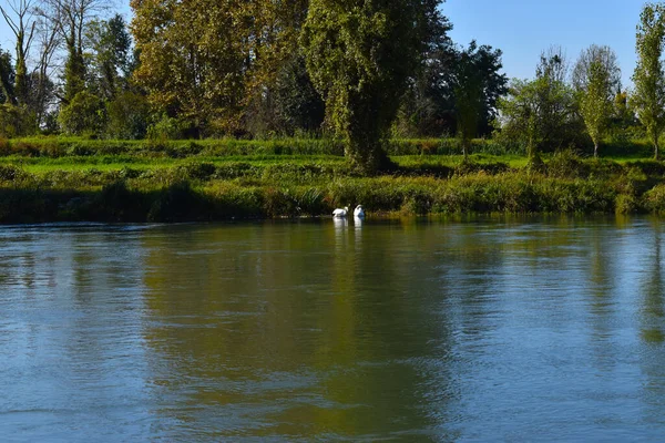 Kırsal Alanda Nehir Manzarası — Stok fotoğraf