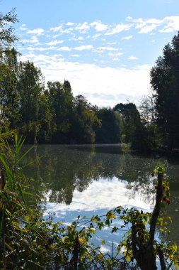 Kırsal alanda nehir manzarası