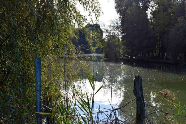 Vista Sul Fiume Campagna Paesaggio — Foto Stock