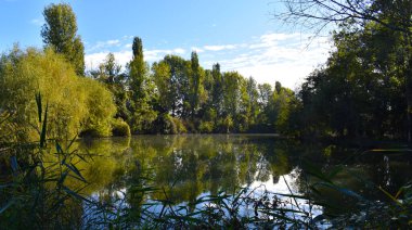 Kırsal alanda nehir manzarası