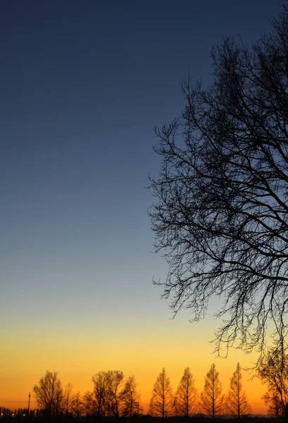 Traumhafter Sonnenuntergang Auf Dem Land — Stockfoto