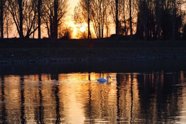 Muzza nehrinde inanılmaz bir gün batımı