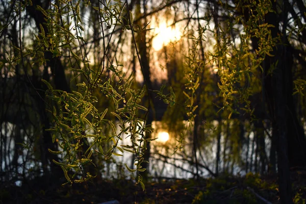 Amazing Sunset Muzza River — Stock Photo, Image