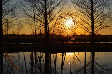 Muzza nehrinde inanılmaz bir gün batımı
