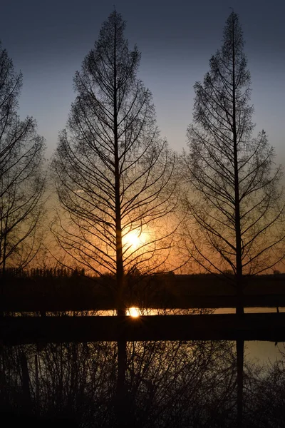 Amazing Sunset Muzza River — Stock Photo, Image