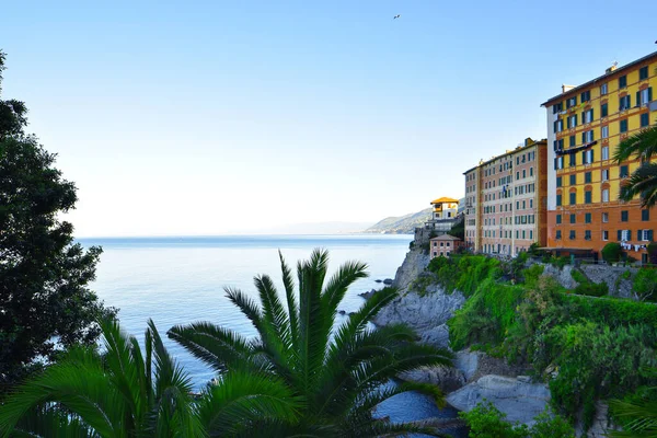 Las Casas Colores Característicos Liguria Camogli — Foto de Stock