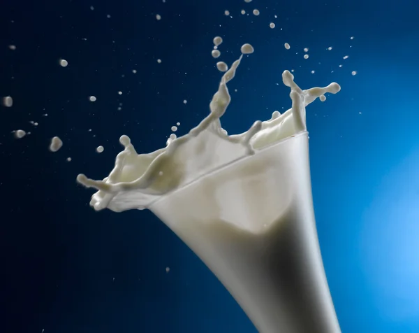 Milk — Stock Photo, Image