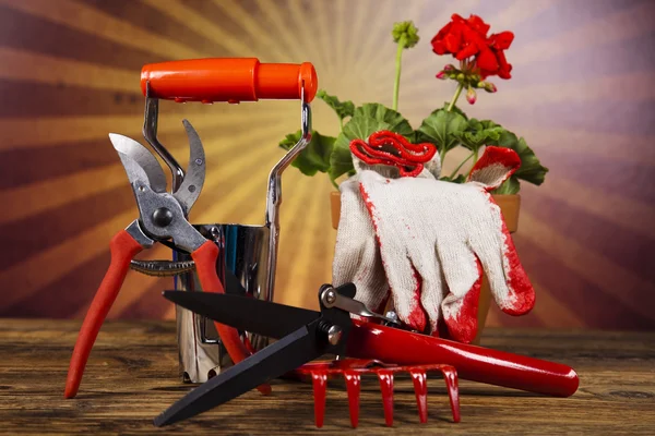 Garden boots with tool, plant — Stock Photo, Image