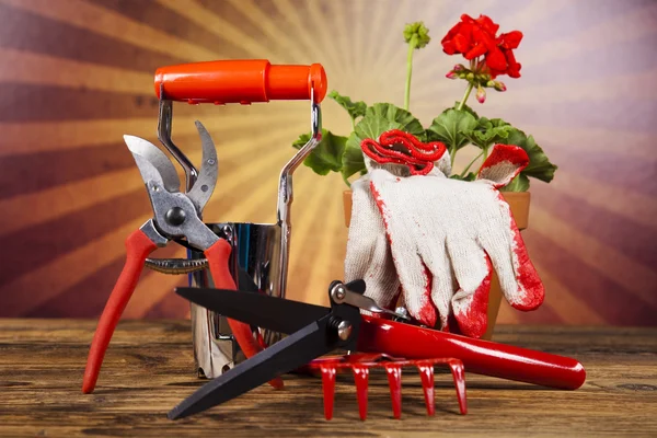 Garden boots with tool, plant — Stock Photo, Image