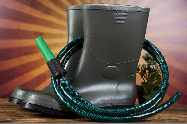 Garden boots with tool, plant — Stock Photo, Image